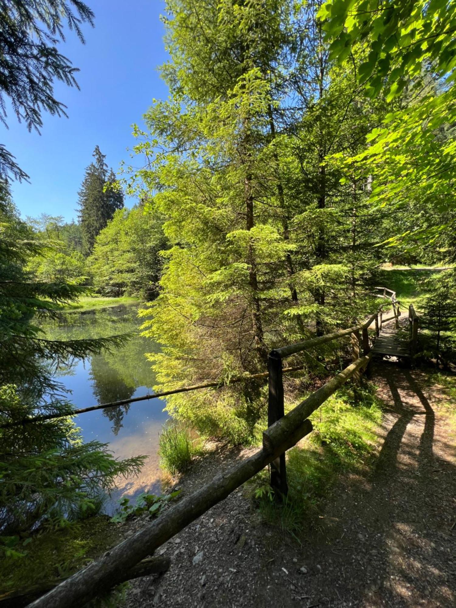 Ortwin Olsberg
